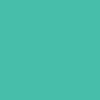 MTN Water Based Paint - rv-219-turquoise-green
